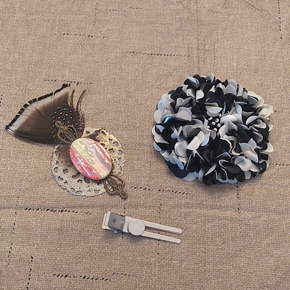 Magnetic hair clip set